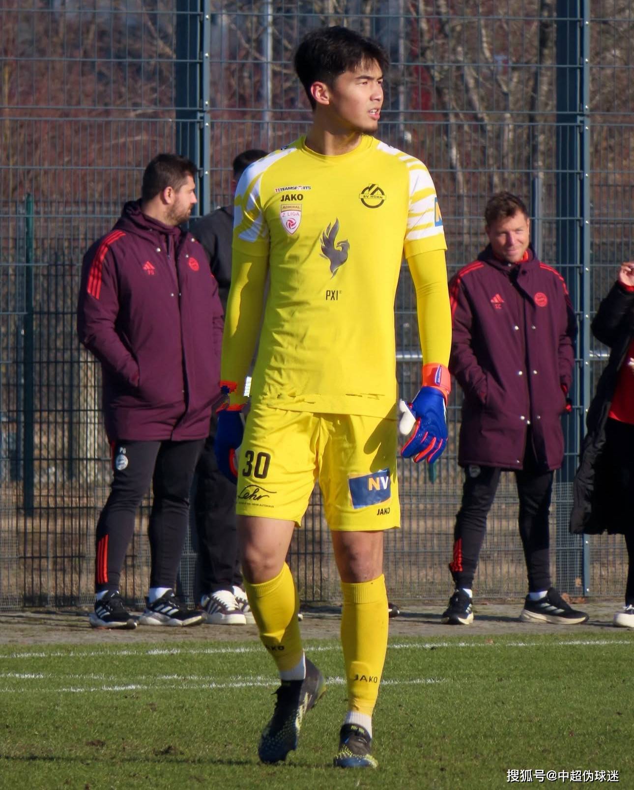 专家分析指 专家分析指